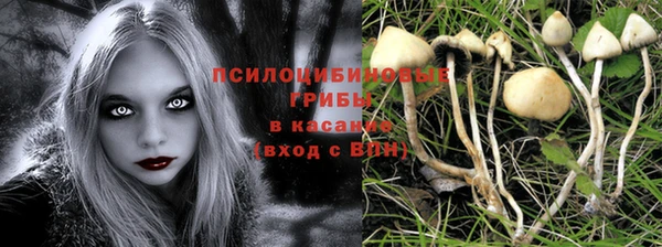 герыч Абинск