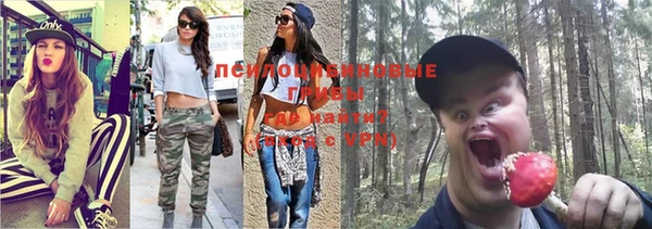 apvp Абдулино